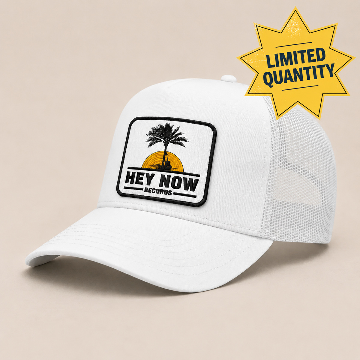 HEY NOW Records - Palm Tree Logo Hat